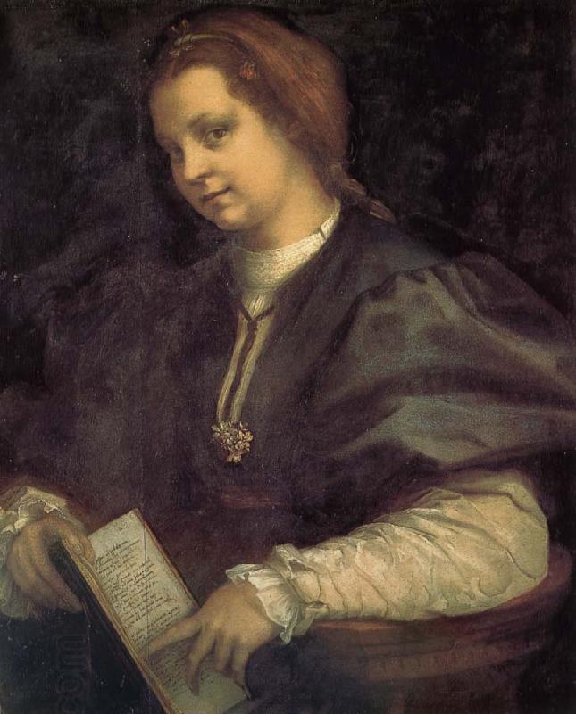 Andrea del Sarto Take the book portrait of woman oil painting picture